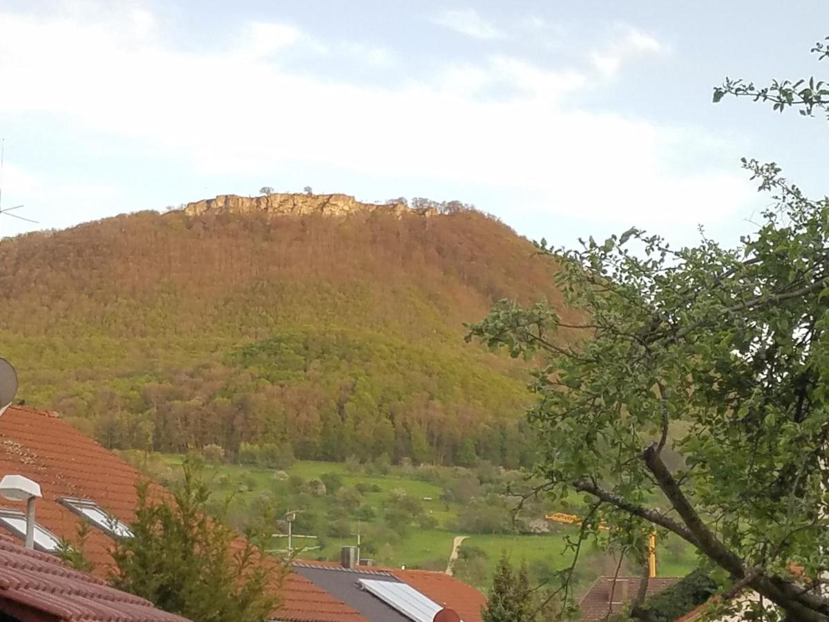 Alte Brennerei Appartement Bissingen an der Teck Buitenkant foto